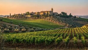 Non solo DOC, DOCG e IGP. Ecco cosa sono le De.Co, denominazioni comunali